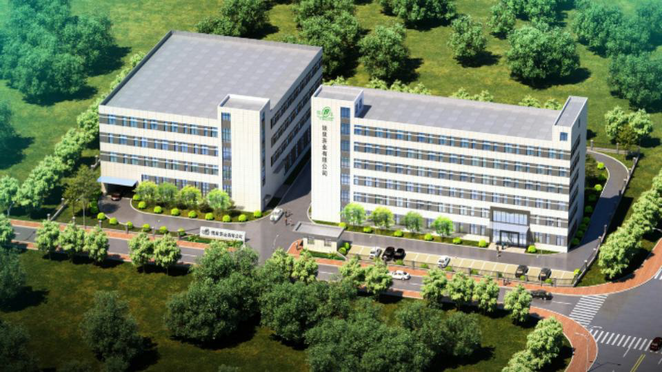 matcha powder factory in China with large scale production facility