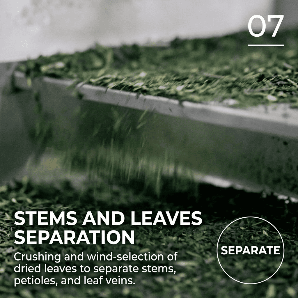 separating stems and leaves during matcha processing for refined tea quality