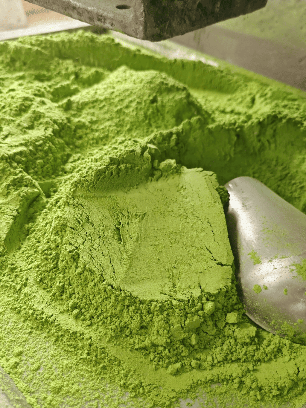 matcha powder close-up showing fine texture and bright green color
