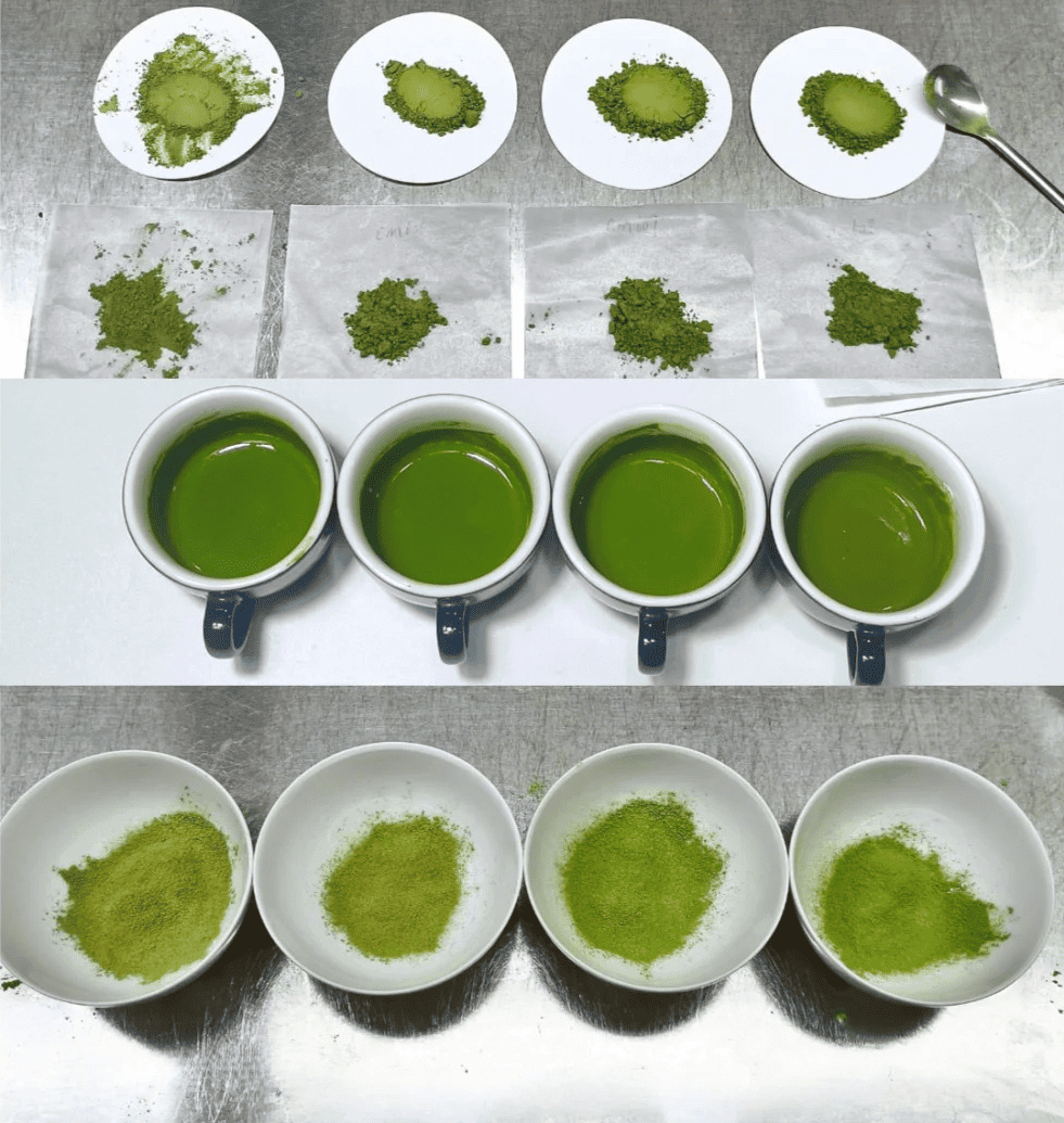 matcha powder comparison showing different grades color and texture differences