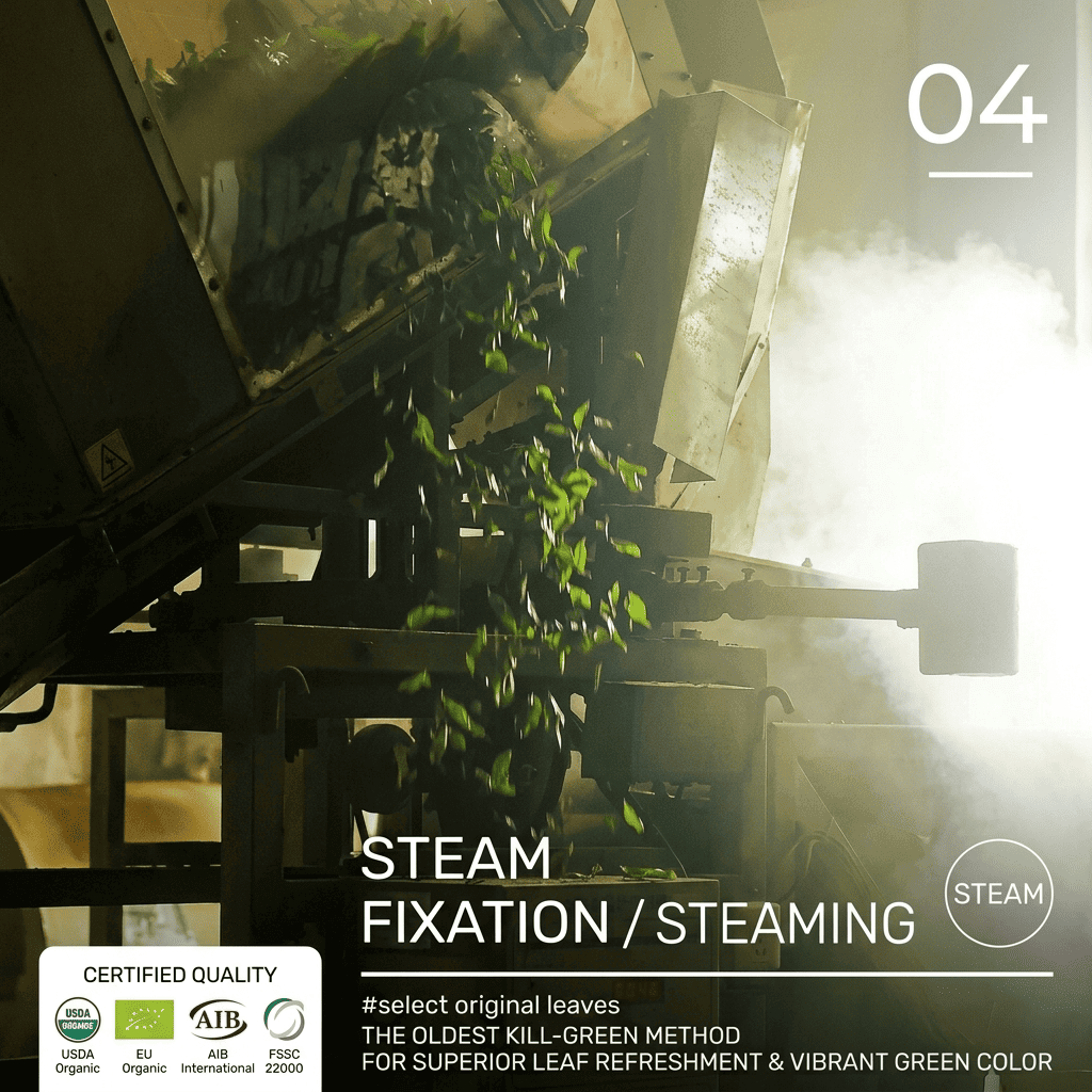 steam fixation process for matcha tea leaves to preserve color and nutrients