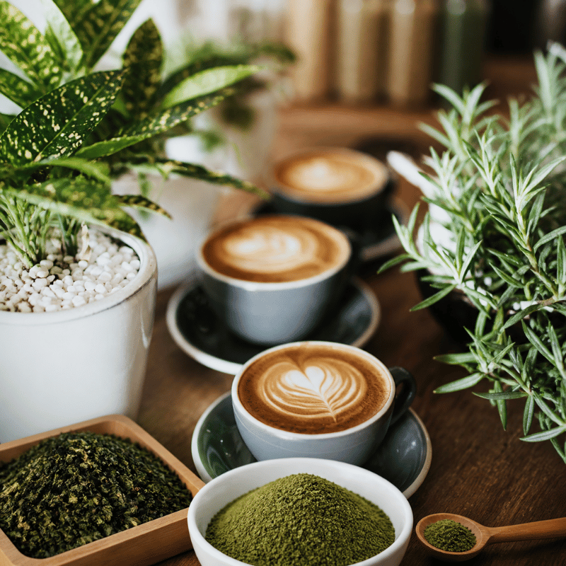 green tea powder cake slice and coffee — dessert pairing