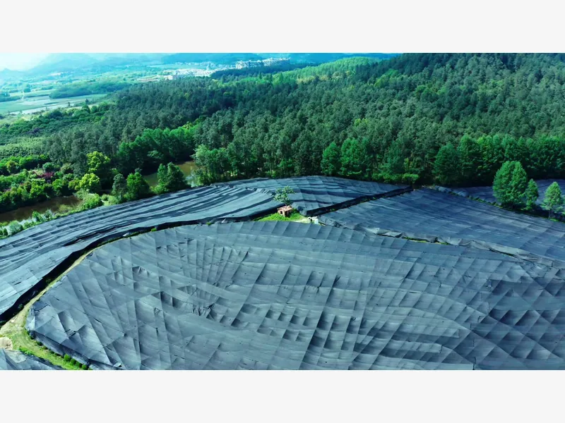 Aerial view of tea fields covered with shade cloth
