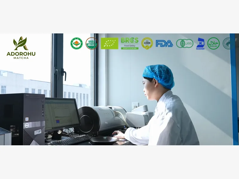 Laboratory operator using an analytical instrument at a computer