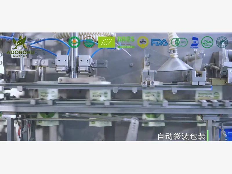 Open pouches moving through automated filling equipment